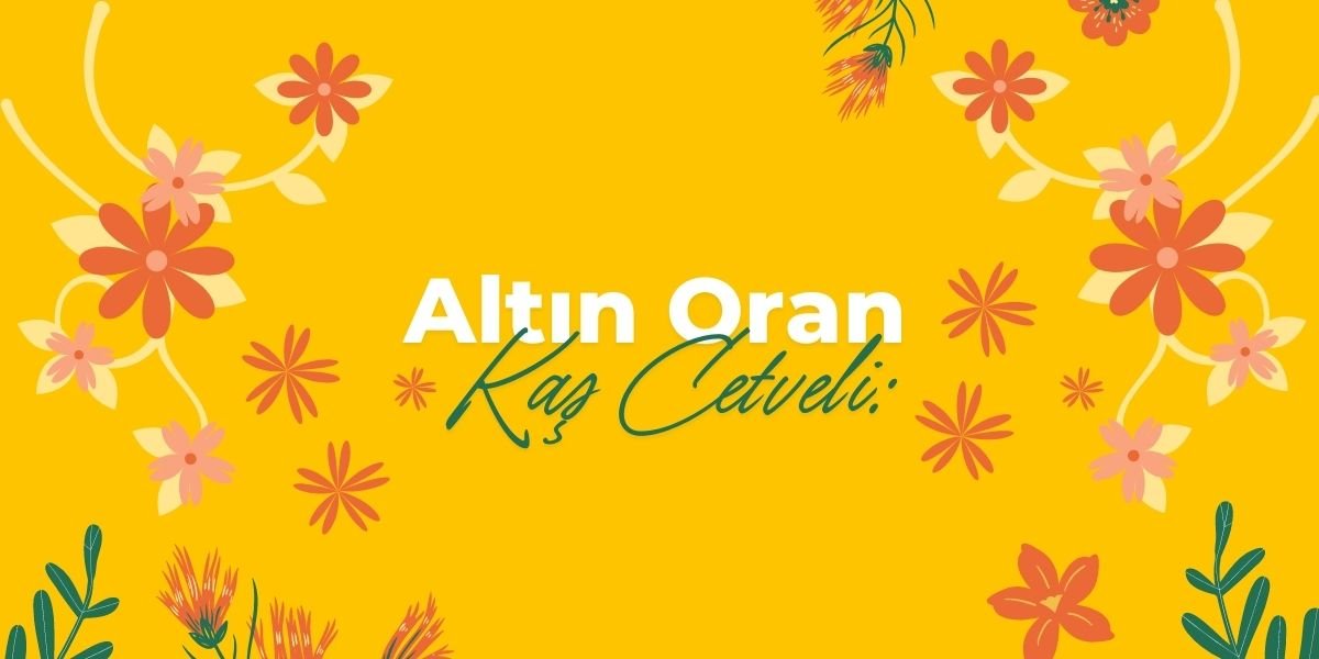 Altın oran kaş cetveli