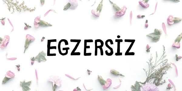 Egzersiz