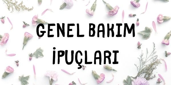 Genel bakım ip uçları