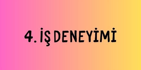 İş Deneyimi