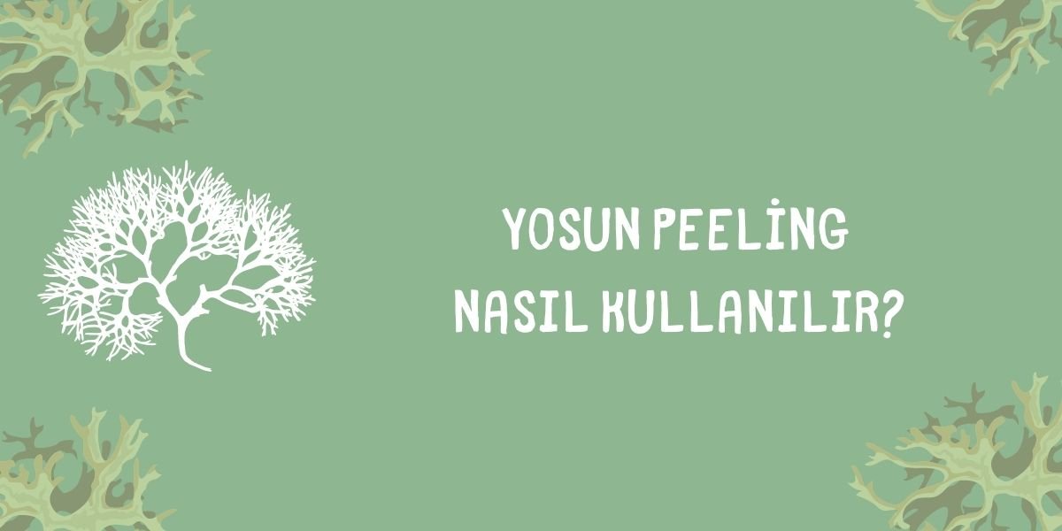 Nasıl Kullanılır?